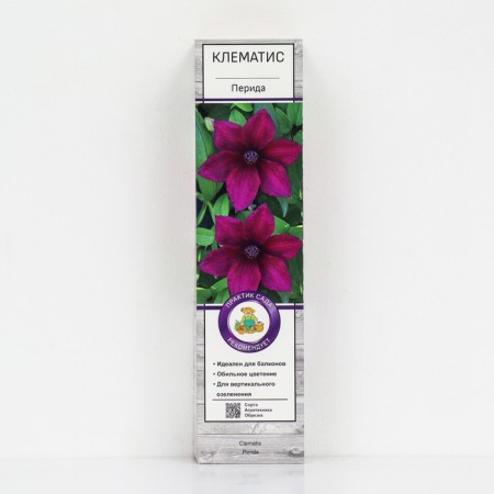 Clematis large -flowered "perida", 1 pc, tube, spring 2025