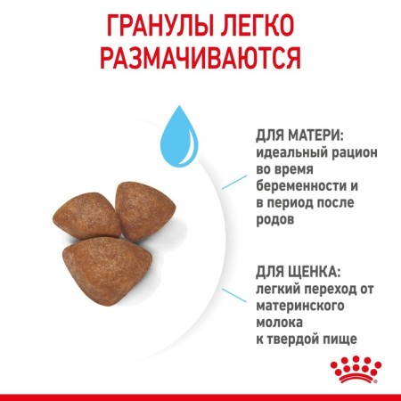 Сухой корм RC Mini Starter Mother & Babydog для щенков, 1 кг-4