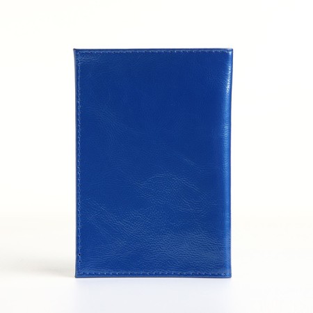 Cover for passport, blue color-1