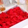 Flowers sakura are soap red, set 50 pcs