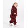 Complex Demi-season Rant Cyclone, height 80 cm, burgundy-red color