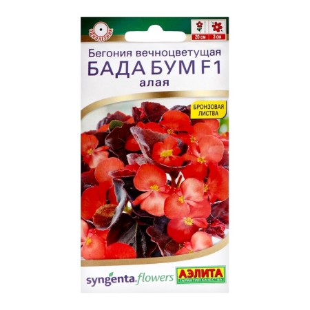 Bagonia Fronts "Bada Boom" F1, Scarlet, C/P, 5 pcs