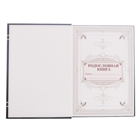 New Year's pedigree book "Golden Chic", 56 sheets, 17 x 2 x 23.7 cm.-5