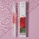 Nail oil and cuticles, 3 ml, with rose aroma