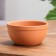 Flower Astra Pot