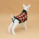 Sweater "Chess", M (DS 26, Osh 26, OG 28-46 cm)
