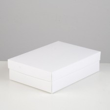 Cardboard box without window, white, 21 x 15 x 5 cm, set 5 pcs