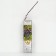 Fruit grapes "Beauty Nikopol", 1 pc, tube, spring 2025