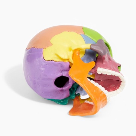 Mettle of the "Human Skull" multi -colored collapsible, 14*10*11cm-10