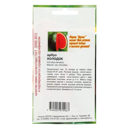 Seeds watermelon chill 10 pcs-1