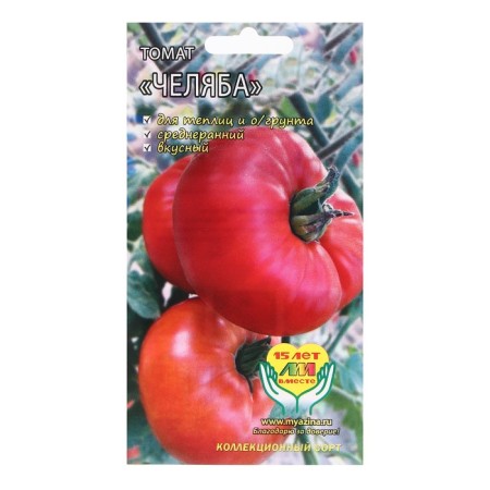 Seed Tomat "Chelyaba", 5 pcs