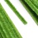 Shinel set of 50 pieces, green, 30 cm