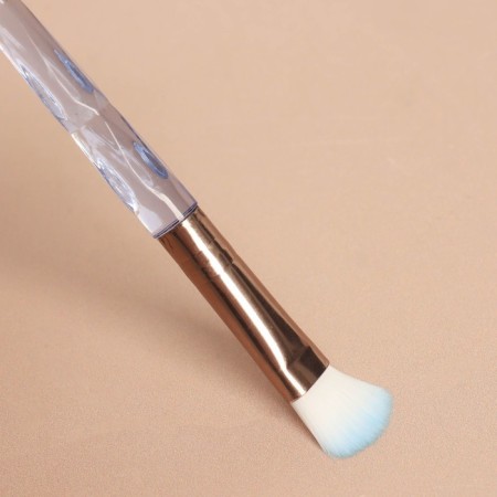 Set of makeup brushes "Conus", 5 objects, color mix-5