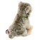 Soft toy "Manul", 25 cm