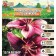 Lilia Asian Kashpo "Trendy Nicosia", district 12/14, 2 pcs, spring 2024