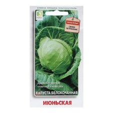 White cabbage seeds 