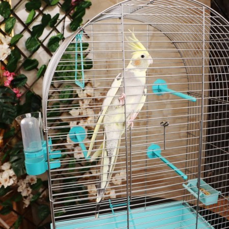 Birds of "Piggers" No. 101, chrome, equipped, 41x30x65 cm, turquoise-3