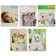 Notebook of 48 sheets in Calligrata Call "kittens", covered cardboard cover, offset unit, mix