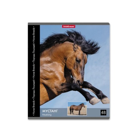 Notebook of 48 sheets in the Erichkrause "horse", cover coated cardboard, offset block 100% whiteness, mix-4