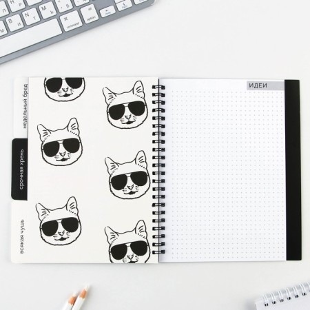 Planing with dividers "Expressor", soft cover, A5 format, 50 sheets-9