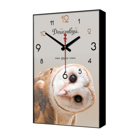 Carty clock is wall-mounted, interior "owl. Act", smooth move, 57 x 35 x 4 cm