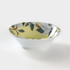 Porcelain Salenik 