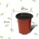 Pot for seedlings, 370 ml, d = 9.5 cm, h = 8 cm, terracotta, Greengo