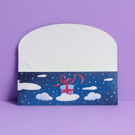 Envelope for Money Formal "Raccoon", 17.5 x 9 cm, New Year-3