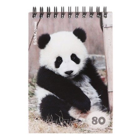 Notebook on spirals A6, 80 sheets, cage, Erichkrause "Fluffs", cardboard cover, OFSET unit, whiteness 100%, mix-2