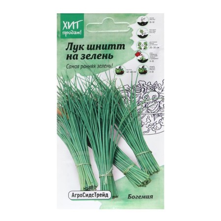 Seeds onion shit "boemia" on the greens 0.5 g