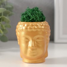 Kashpo concrete 