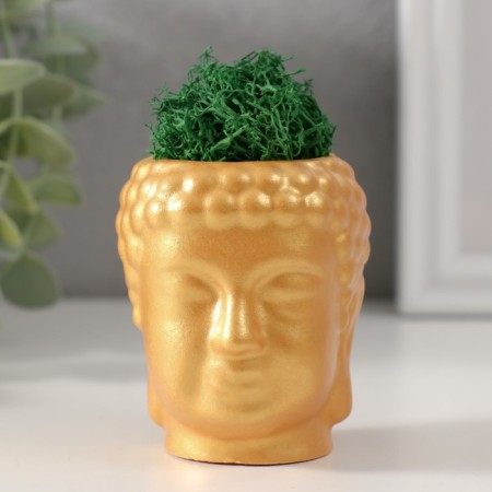 Kashpo concrete "Buddha" with moss 7*6cm gold (moss green stabilized)