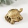 NECKE bronze "Turtle on coins" T-215 5.5 x 3.5 x 3 cm