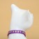Fly collar "shower" luminous, with a bell, 30 x 1 cm, polyester, purple