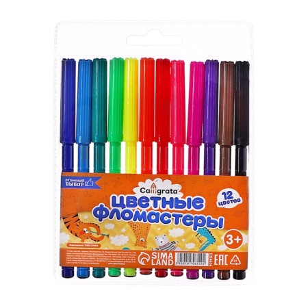 A set of a first grader in the Calligrata folder “Back to School”, 70 items, with benefits-15