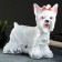 Piggy bank "Yorkshire Terrier" White 22x28cm