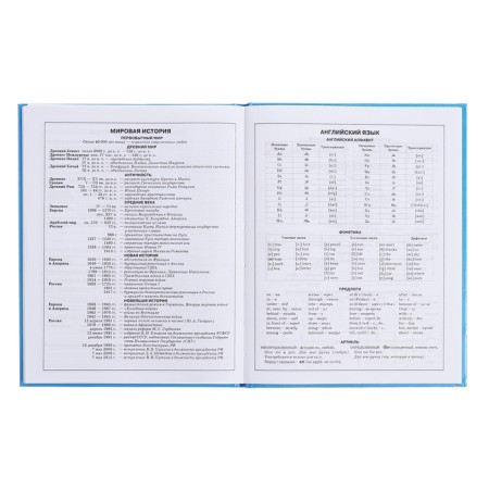 Diary for grades 5-11, 48 sheets of Kapibar Kapibarov, hard cover, glossy lamination, block 60 g/m2-12