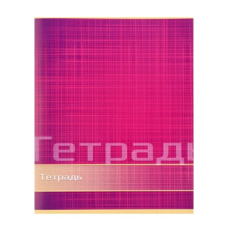 Notebook of 48 sheets in the Calligrata line "Color and graphics", cover coated paper, block No. 2, whiteness 75% (gray sheets), mix-5