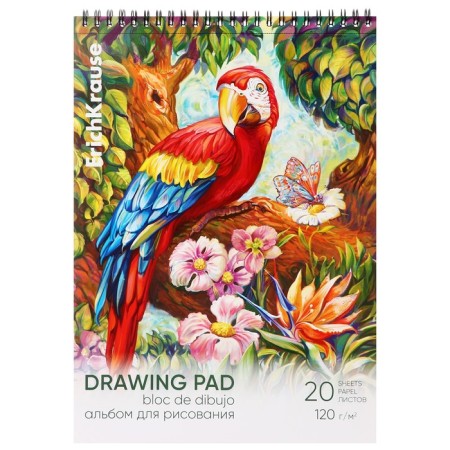 Album for drawing A4, 20 sheets, block 120 g/m², on a spiral, Erich Krause "Parrot", 100% whiteness, a perforation for separation, a solid substrate