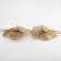 Earrings with pearls "bead" Katalya, color gold