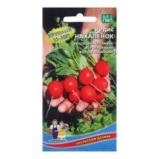 Seeds Radis 