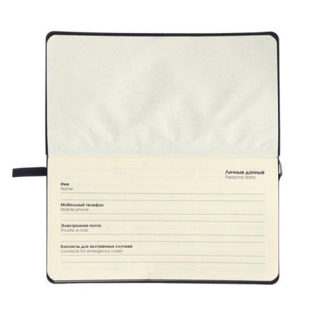 Planing undated 95x170 mm, 64 sheets, integral cover, artificial leather, software, lies, tinted block 70g/m2, black-2