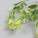 Artificial plant for creativity "Hippeastium" set of 6 pcs light green 11 cm