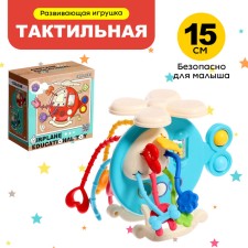 Developing toy 