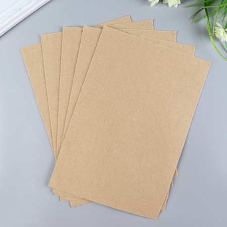 Soft felt 1 mm 20x30 cm St.-1