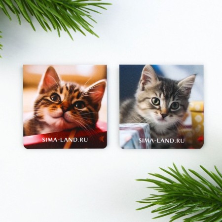 Gift New Year's set: a notebook on the A6 spiral, 60lists and magnetic bookmarks 2 pcs. "I am your gift"-7
