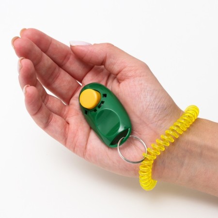 Clider for training dogs with a bracelet on the hand, green-4
