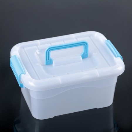 Storage container "Diplomat", 20.5 × 15 × 9.5 cm, cover with a handle on the latch, color mix-6