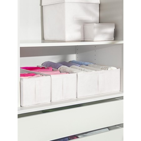 Organizer 50x36x16 cm, 2 cells-3