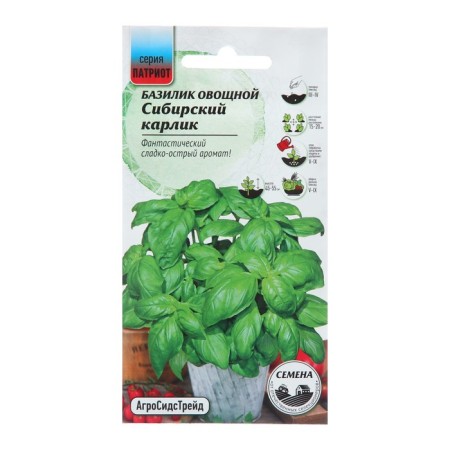 Basil seeds "Siberian dwarf", 0.25 g